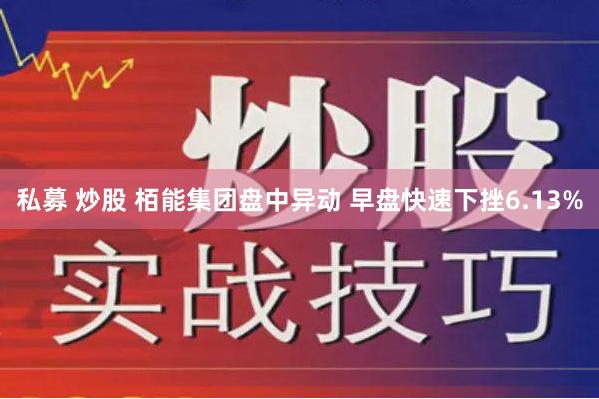 私募 炒股 栢能集团盘中异动 早盘快速下挫6.13%