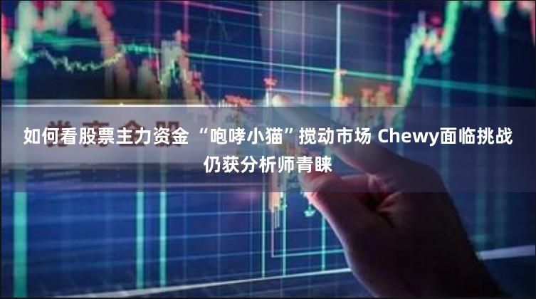 如何看股票主力资金 “咆哮小猫”搅动市场 Chewy面临挑战仍获分析师青睐